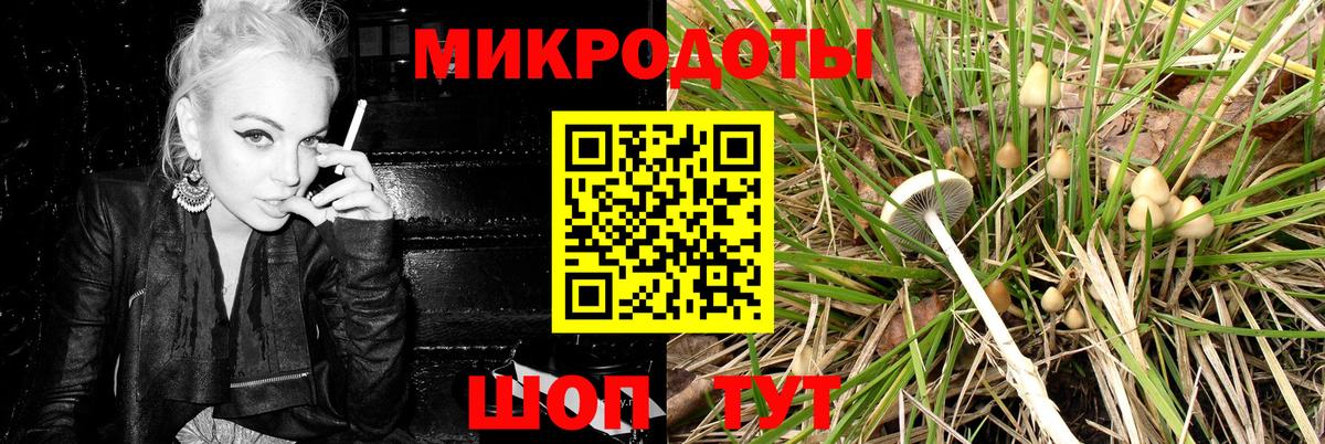 магазин    Вход с VPN  Реж  Псилоцибиновые грибы MAGIC MUSHROOMS  Псилоцибиновые грибы мухоморы 